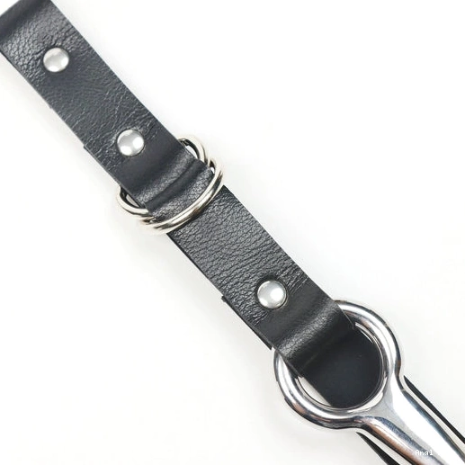 5853 Leash Collar Anal with Hook EverydayUse Kinky and 0908
